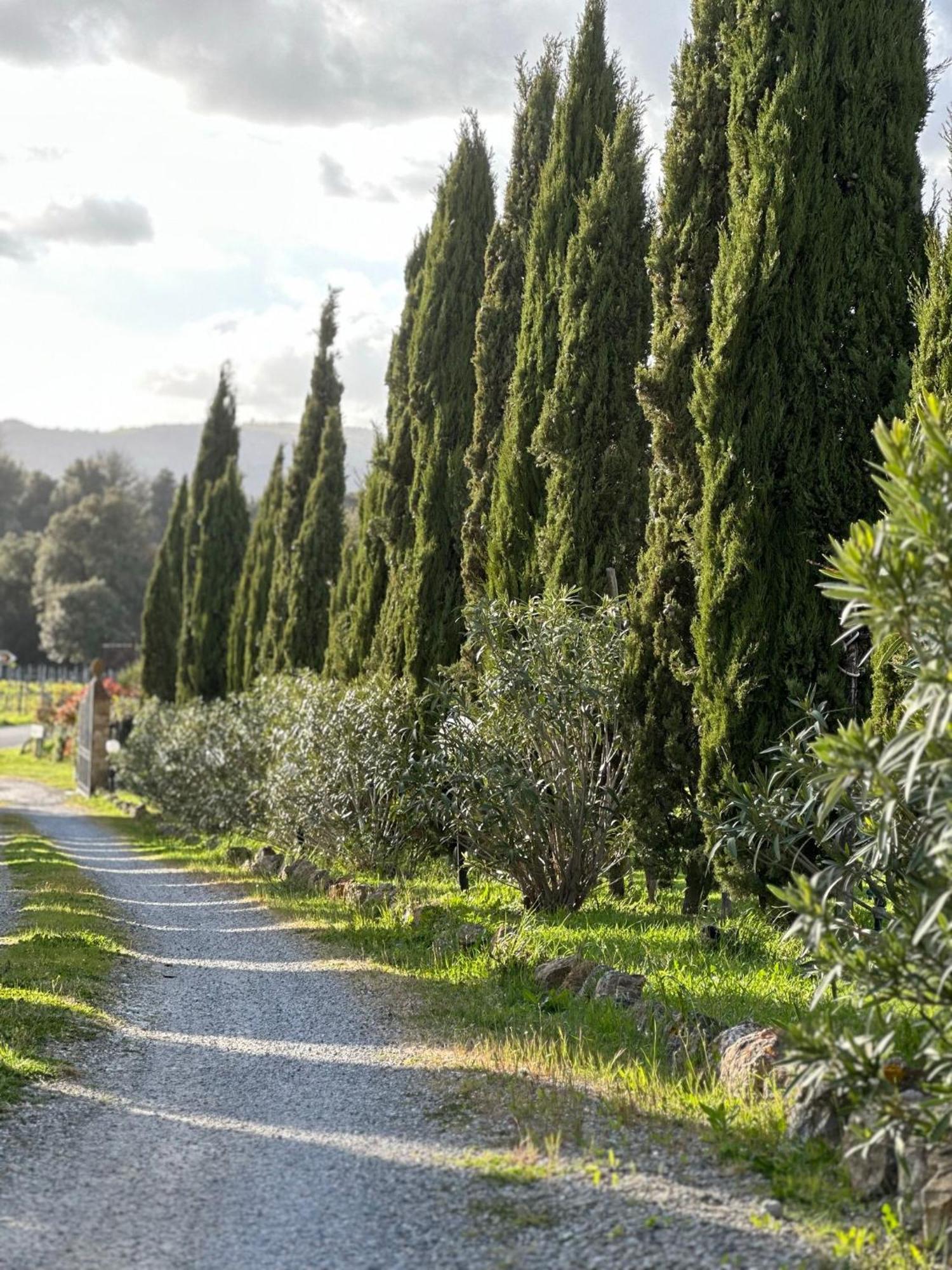 Antico Borgo Il Cardino San Gimignano
