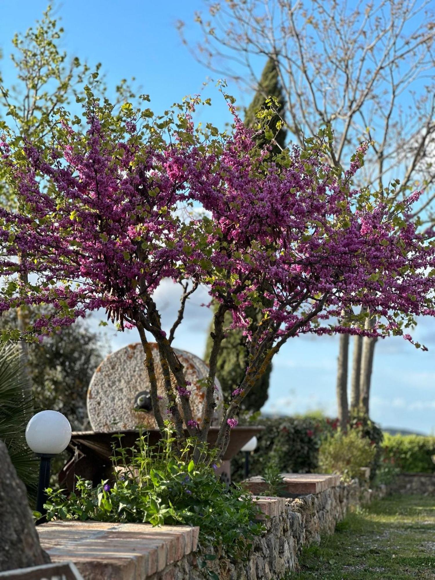 Bed & Breakfast Antico Borgo Il Cardino
