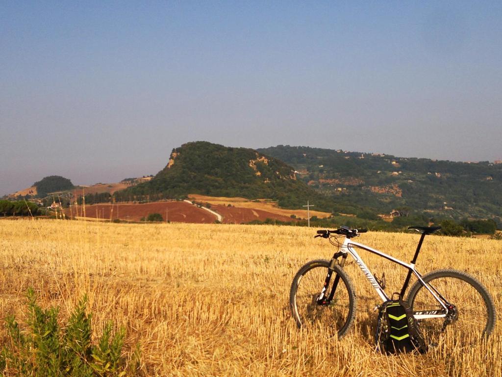 Bed & Breakfast Antico Borgo Il Cardino San Gimignano